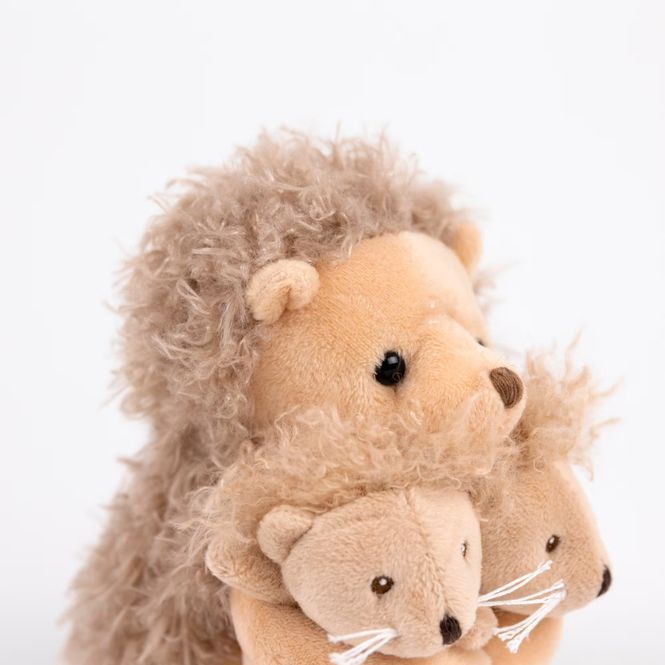 Hovedbilde Pinnsvinmamma med tvillinger