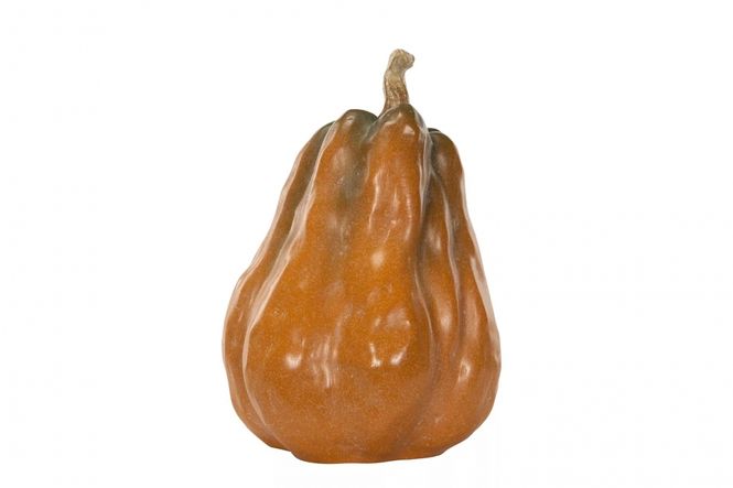 Hovedbilde Gresskar Orange.Nat Avlang Poly 24cm
