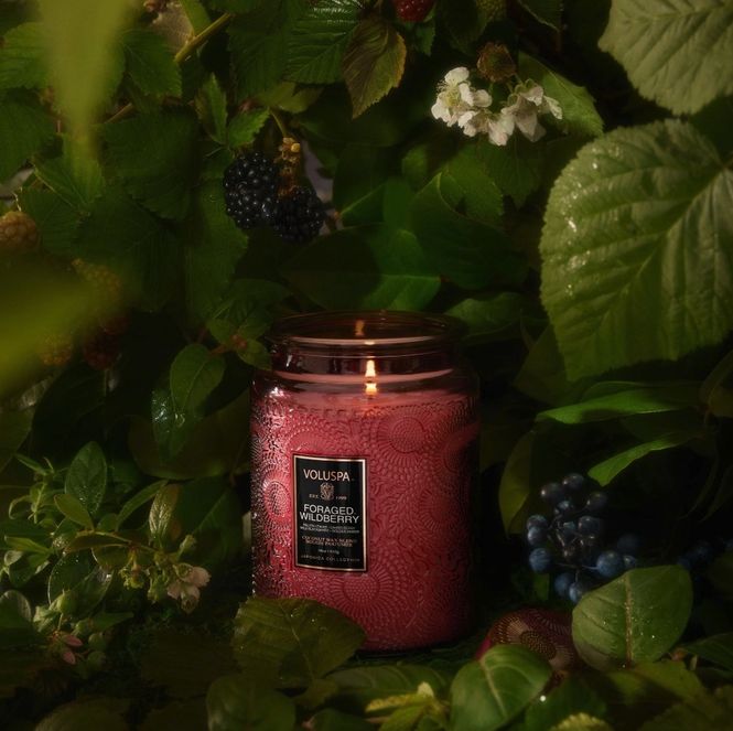 Hovedbilde Voluspa Large Jar Candle 100t Foraged Wildberry