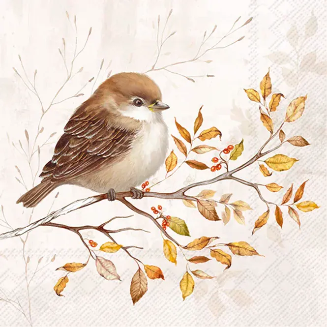 Hovedbilde Servietter Autumn Melody Cream Kaffe