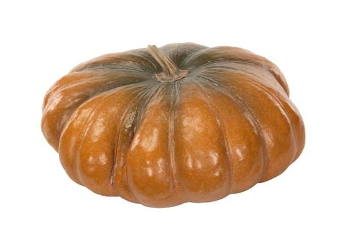 Hovedbilde oransje gresskar 34x18cm