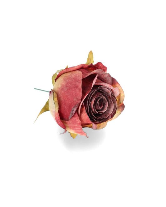 Hovedbilde Rose Vinrød