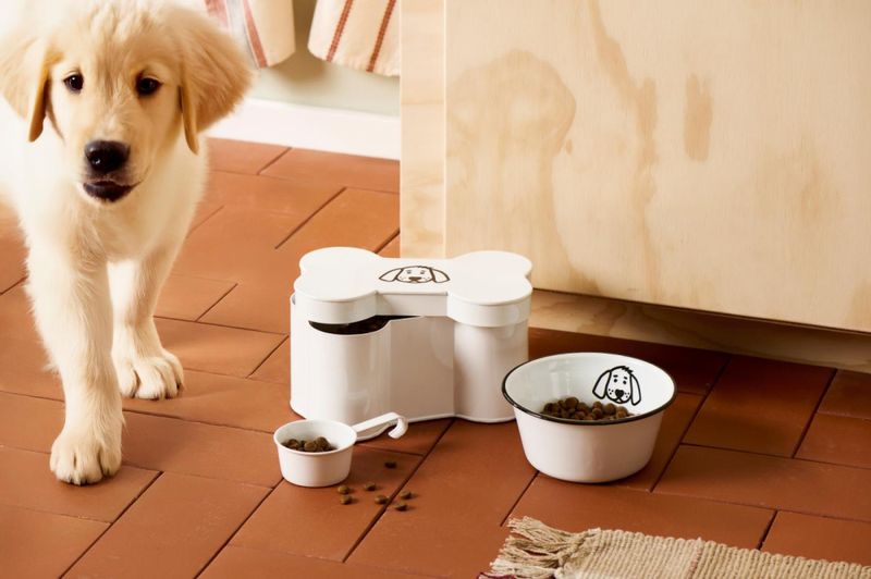 Boks formet som et kjøttbein med hundemotiv og målebeger