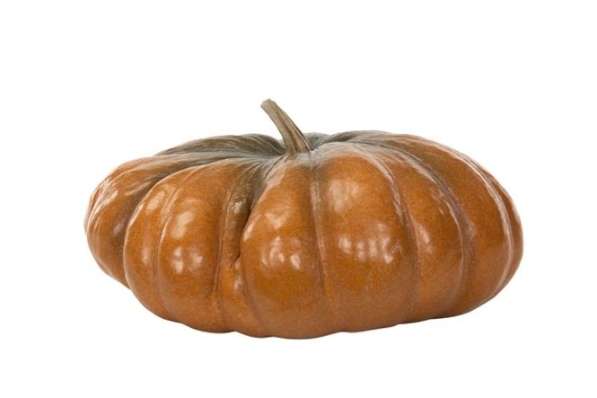 Hovedbilde oransje gresskar 34x18cm