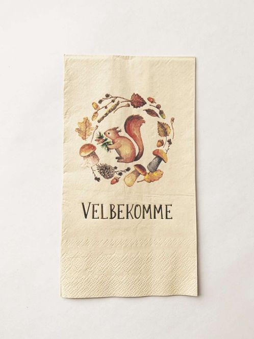 Hovedbilde Serviett Velbekomme - ekorn - 33x44 cm