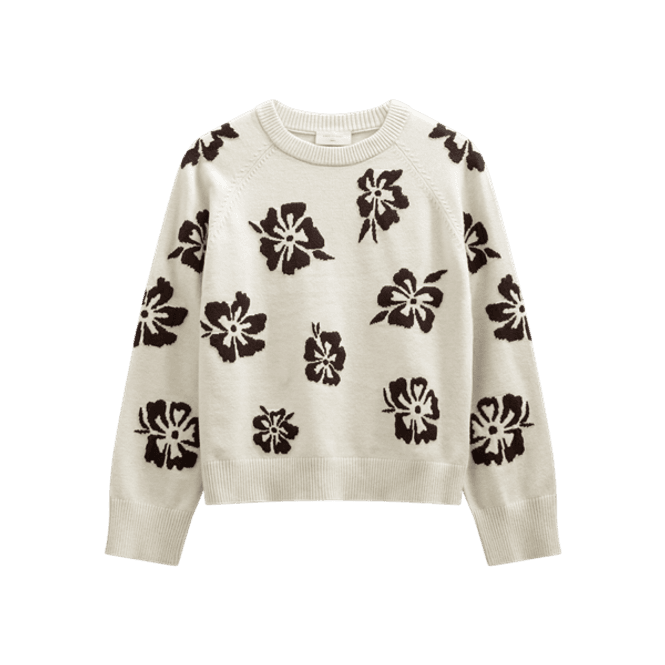 Hovedbilde FQALPI-PULLOVER