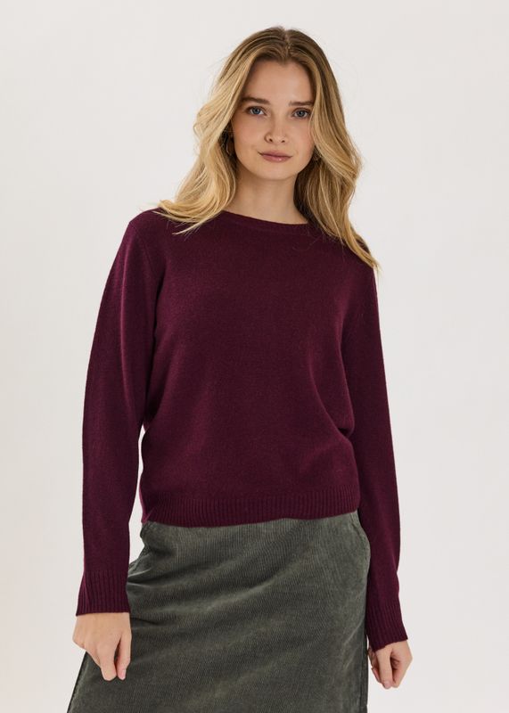 CWPreet Pullover