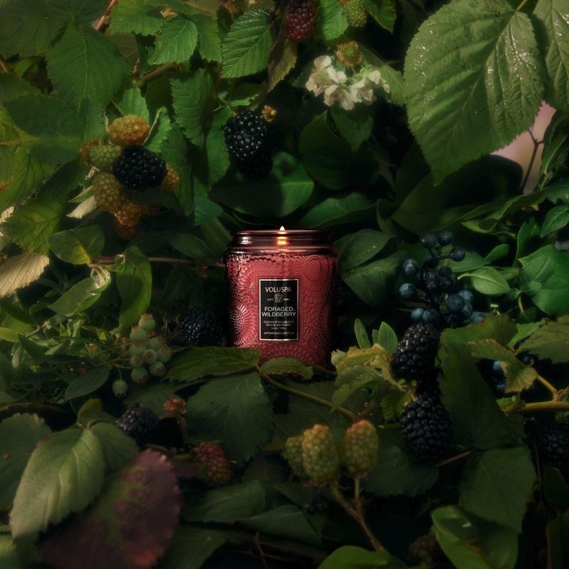 Small Jar Candle 50t Foraged Wildberry